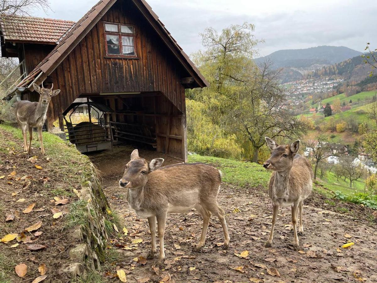 Einzigartiges Apartment, Mitten In Der Natur Ottenhofen im Schwarzwald 외부 사진