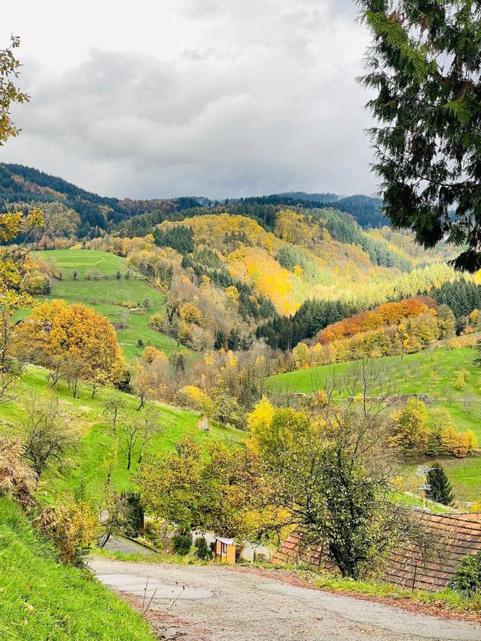 Einzigartiges Apartment, Mitten In Der Natur Ottenhofen im Schwarzwald 외부 사진